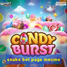 snake bet paga mesmo