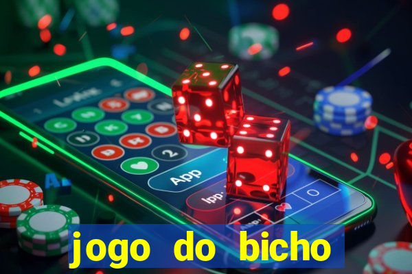 jogo do bicho crash bingo