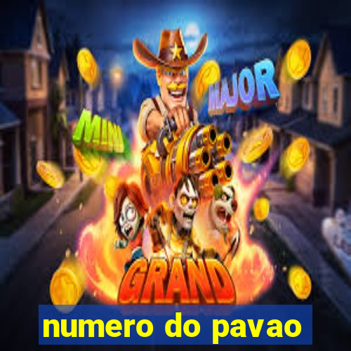 numero do pavao