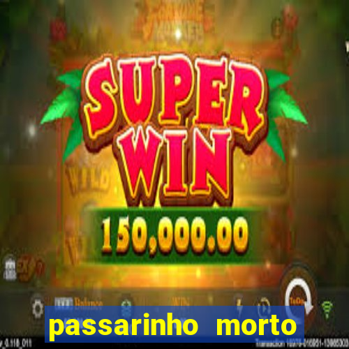 passarinho morto significado espiritual