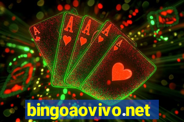 bingoaovivo.net