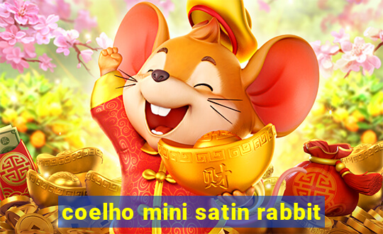 coelho mini satin rabbit